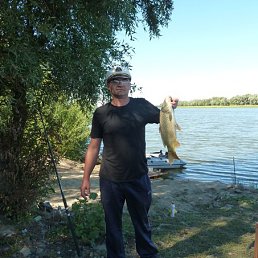 ���� ������, ���������, 53 ���� - ��������� 4 ���� 2013