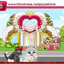  ......., , 34  -  12  2010   PetLove