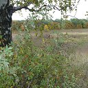  , , 69  -  29  2013    ...