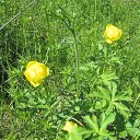 ���� �������, �������������� - ��������� 3 ��� 2013 � ������ �������