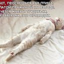 ���� �������, ��� - ��������� 15 ���� 2012 � ������ ���� ����������