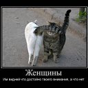 ���� ��������, ���������� - ��������� 13 ����� 2011 � ������ ��������������