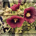 ���� ����, �������, 29 ��� - ��������� 29 ���� 2012 � ������ �������