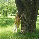 ���� �����, �������, 63 ���� - ��������� 11 ���� 2011 � ������ �߻