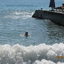 ���� ������, ����� �������, 44 ���� - ��������� 6 ������ 2011 � ������ ���� ����������