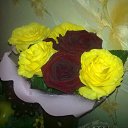 ���� ����@, ��������� - ��������� 10 ������ 2012 � ������ �������