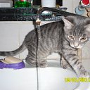 ���� �������, ������, 55 ��� - ��������� 16 ������ 2011 � ������ �������