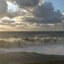  , , 66  -  29  2011   ,