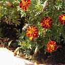 ���� ���������, ���������� - ��������� 22 ������� 2010 � ������ ������� � ��������...�