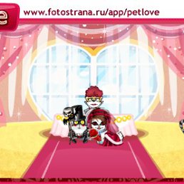 ���� ���, ���������, 39 ��� - ��������� 6 ����� 2011