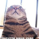 ���� ����, ������ - ��������� 19 ������� 2009 � ������ ������� ���������� �����