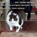 ���� ����, ������, 42 ���� - ��������� 13 ���� 2012 � ������ �������