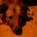 ���� ������� ������, ������� ���� �� ������������!, ������ - ��������� 26 ����� 2010 � ������ ���� �����