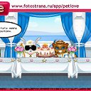 ���� ����������, ������� - ��������� 29 ����� 2011 � ������ �PetLove�