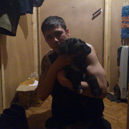 ���� �����, �������, 41 ��� - ��������� 29 ������ 2012