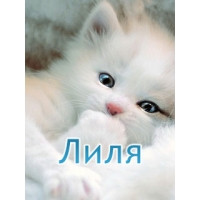 ���� ����, �����, 45 ��� - ��������� 15 ������� 2010