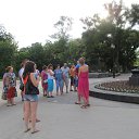  , , 40  -  22  2013    ,,  2013