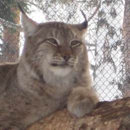 ���� Cvnbmh, ��������, 53 ���� - ��������� 8 ������ 2012