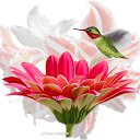 ���� ������, ������-��-����, 25 ��� - ��������� 23 ���� 2013