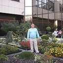 ���� ������, �������, 45 ��� - ��������� 29 ������� 2012 � ������ ���� ����������