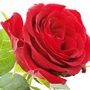 ���� ����, �����-���������, 27 ��� - ��������� 12 ������� 2012 � ������ ���� ����������