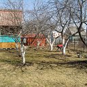 ���� ����, ������, 41 ��� - ��������� 9 ��� 2011 � ������ �����