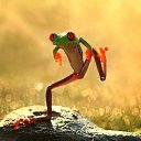 ���� �������, ������, 54 ���� - ��������� 26 ����� 2012 � ������ ���� ����������