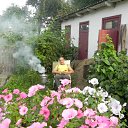 ���� ����, �����, 52 ���� - ��������� 22 �������� 2011 � ������ ���� ����������