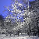 ���� ������, ������, 47 ��� - ��������� 4 ������� 2013 � ������ �������� ������