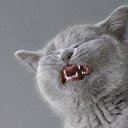  , -, 39  -  25  2010    