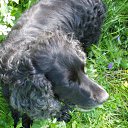  , -, 63  -  30  2013