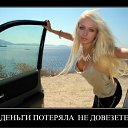  , , 85  -  8  2011   PetLove