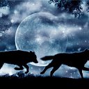 ���� "@����", �����-���������, 25 ��� - ��������� 26 ��� 2010 � ������ �����Ȼ