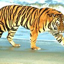 ���� ������, �������, 29 ��� - ��������� 24 ������� 2010 � ������ ���� ����