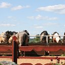 ���� ��������, ���������, 52 ���� - ��������� 3 ���� 2012 � ������ ���������