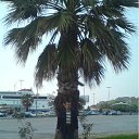 ���� Dima, �����-���������, 55 ��� - ��������� 1 ��� 2012 � ������ ���� ����������