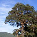 ���� �����, �����, 38 ��� - ��������� 3 ������� 2011 � ������ ������������