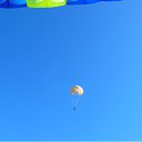 ���� �������, ������������, 43 ���� - ��������� 20 ������ 2010 � ������ ���� �����
