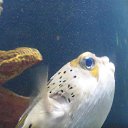 ���� ����, �����-���������, 57 ��� - ��������� 23 ������ 2011 � ������ �� �����������