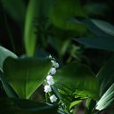 ���� �����, �������������, 25 ��� - ��������� 28 ���� 2013 � ������ ������������. ������� ��������� ����������� 2010.�