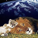 ���� �������, ���������, 52 ���� - ��������� 23 ���� 2011