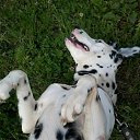 ���� �����, ������ ��������, 28 ��� - ��������� 6 ���� 2012 � ������ �������