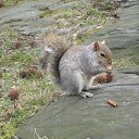  Em.d,  , 37  -  8  2011    