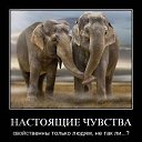 ���� �����, �����-��������� - ��������� 6 ������� 2012 � ������ �������