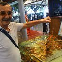 ���� ������, ���������, 62 ���� - ��������� 20 ��� 2012 � ������ ���� ����������