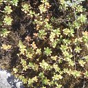 ���� �����, ������������ - ��������� 14 ������� 2012 � ������ ��������