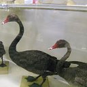 ���� ���, ��������, 30 ��� - ��������� 11 ���� 2013 � ������ ���� ����������