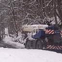 ���� ���, ���������, 55 ��� - ��������� 7 ������ 2012 � ������ ���� ����������