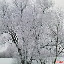 ���� ���������, �������, 47 ��� - ��������� 23 ������� 2012