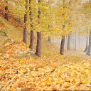 ���� Oleg, ������, 87 ��� - ��������� 4 ������ 2011 � ������ �Paints�